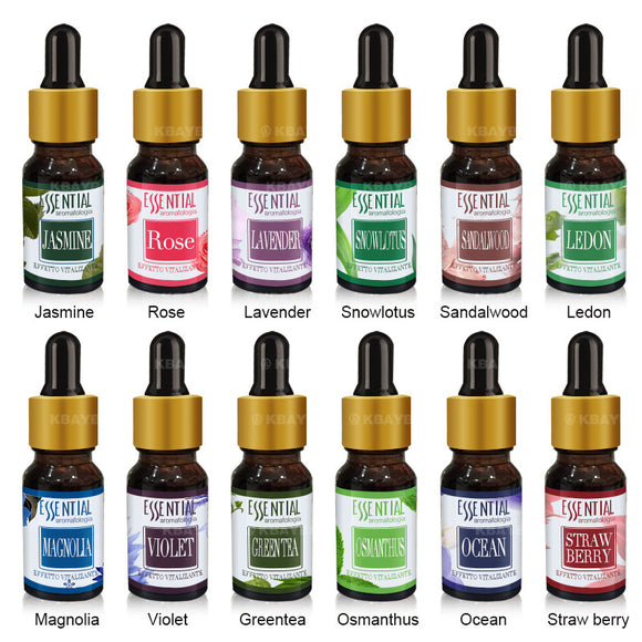 Brand New Aromatherapy Oils（10 ml） - gaudely