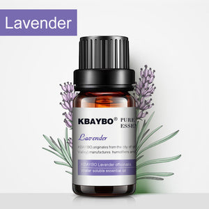 Essential Oil（10 ml） for Diffuser, Aromatherapy Oil Humidifier 6 Kinds Fragrance of Lavender, Tea Tree, Rosemary, Lemongrass, Orange - gaudely