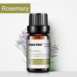 Essential Oil（10 ml） for Diffuser, Aromatherapy Oil Humidifier 6 Kinds Fragrance of Lavender, Tea Tree, Rosemary, Lemongrass, Orange - gaudely